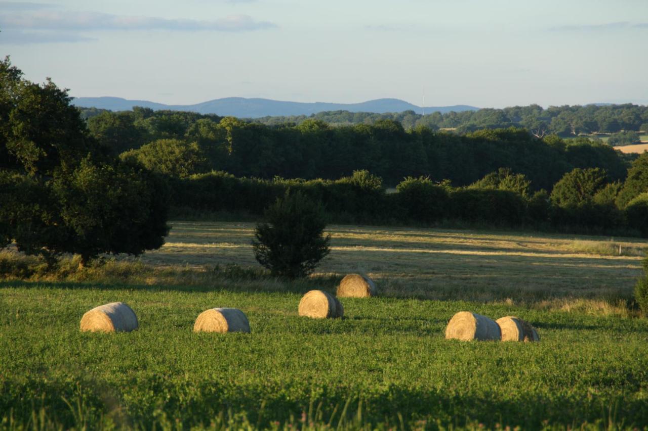 Domaine De Savigny Acomodação com café da manhã Saint-Saulge Exterior foto