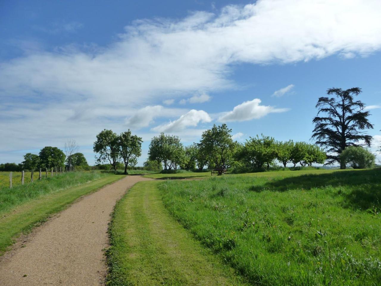 Domaine De Savigny Acomodação com café da manhã Saint-Saulge Exterior foto