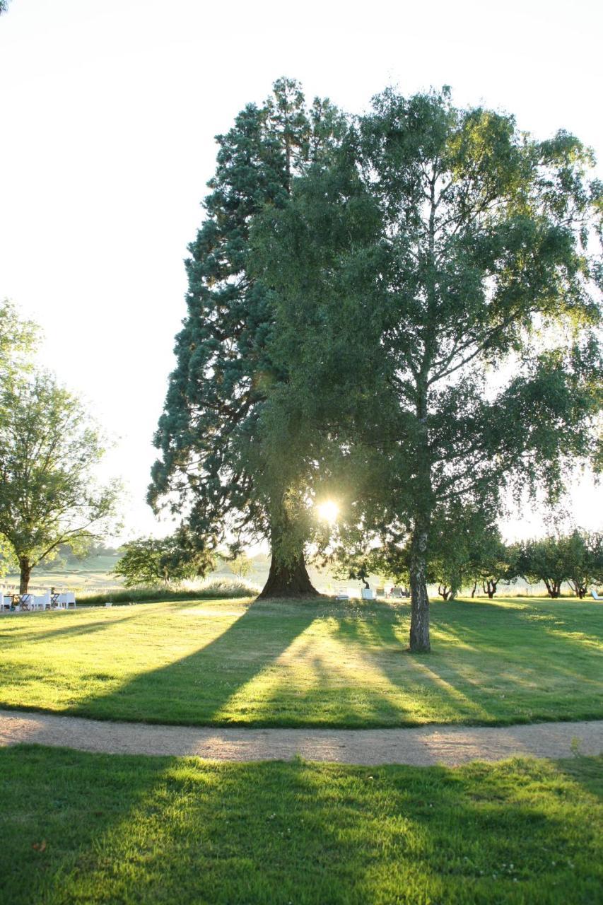 Domaine De Savigny Acomodação com café da manhã Saint-Saulge Exterior foto